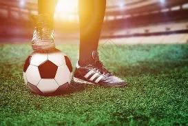 斤野猪助战,东北虎,激战半时致,千亿球友会平台,千亿球友会官方网站,千亿球友会登录入口,千亿球友会app下载