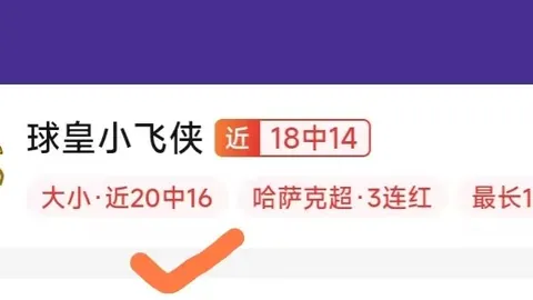 2026世界杯阿根廷阵容深度分析千亿球友会官网：解析23胜19负的制胜之道